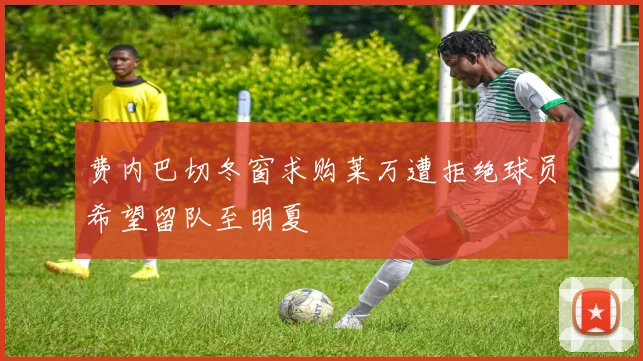 费内巴切冬窗求购莱万遭拒绝球员希望留队至明夏