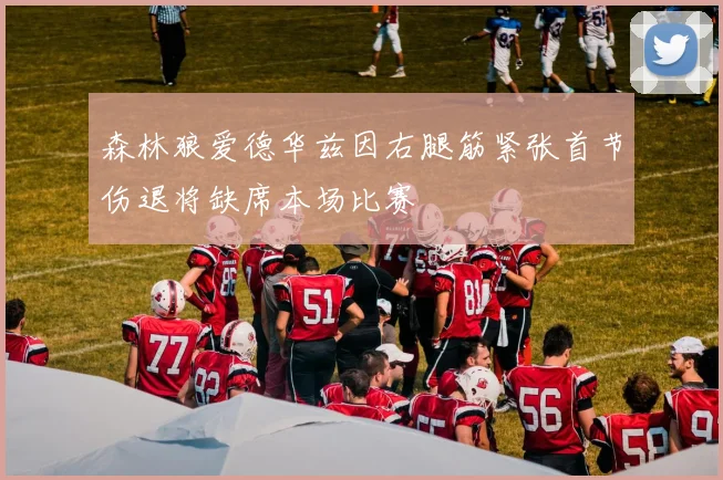 森林狼爱德华兹因右腿筋紧张首节伤退将缺席本场比赛